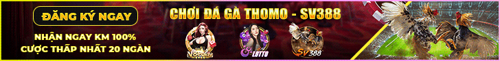 banner 1
